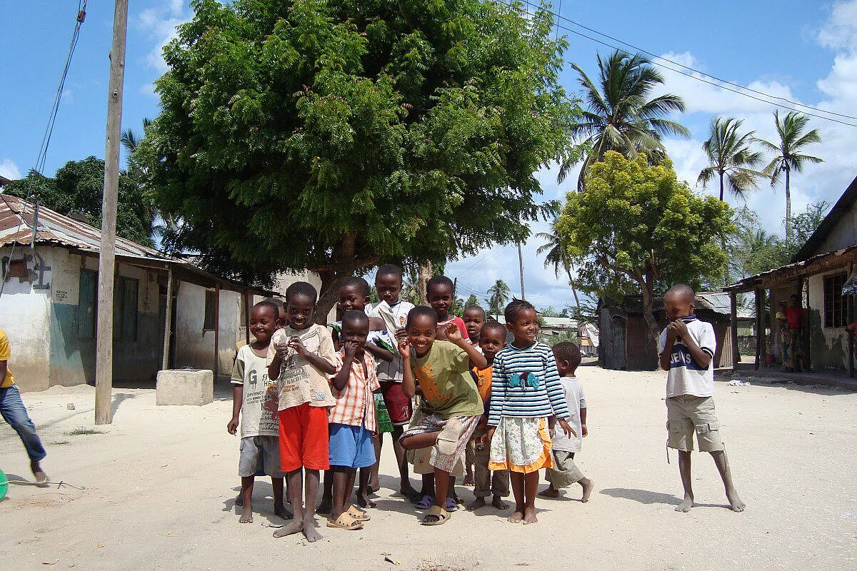 Alla scoperta della tanzania da sola zaino in spalla! Quattro parchi del sud, costa e isole