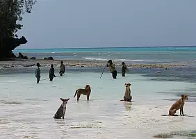 turistipercaso tanzania-8tnk7