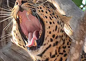 turistipercaso tanzania-dn6m3