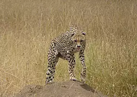 turistipercaso tanzania-fzvre