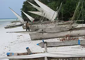 turistipercaso tanzania-hsscc