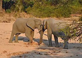 turistipercaso tanzania-jmrzs