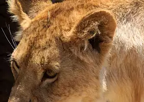 turistipercaso tanzania-kh1es