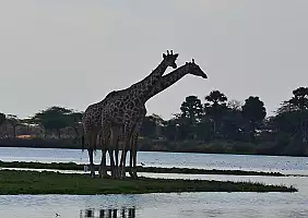 turistipercaso tanzania-pzewg