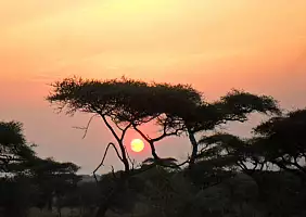 turistipercaso tanzania-q1shu