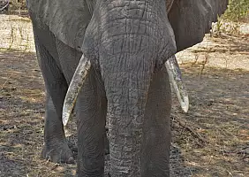 turistipercaso tanzania-q6gxy