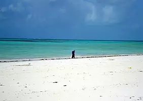 turistipercaso tanzania-yph75