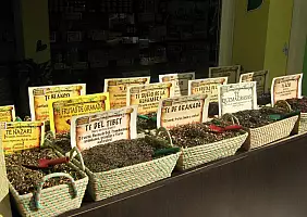 turistipercaso tarifa-mare-4wtun