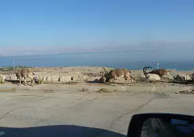 turistipercaso tel-aviv-4bg7r