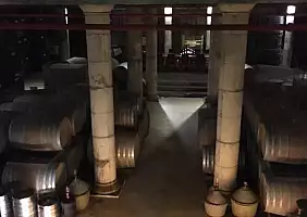 turistipercaso tel-aviv-zypgg
