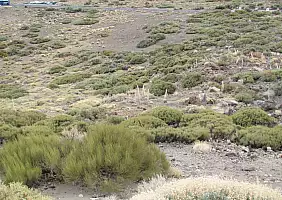 turistipercaso tenerife-2zerf
