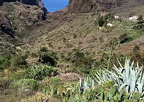 turistipercaso tenerife-6qa7y