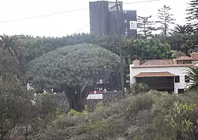 turistipercaso tenerife-9mg42