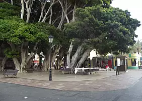 turistipercaso tenerife-b4bz5