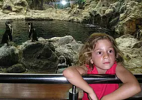 turistipercaso tenerife-ghvwf