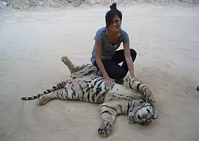 turistipercaso thailandia-6ybpt