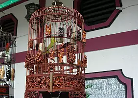 turistipercaso thailandia-8knw1