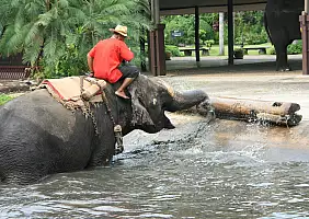 turistipercaso thailandia-h7bjp