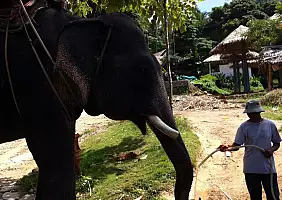 turistipercaso thailandia-kamua