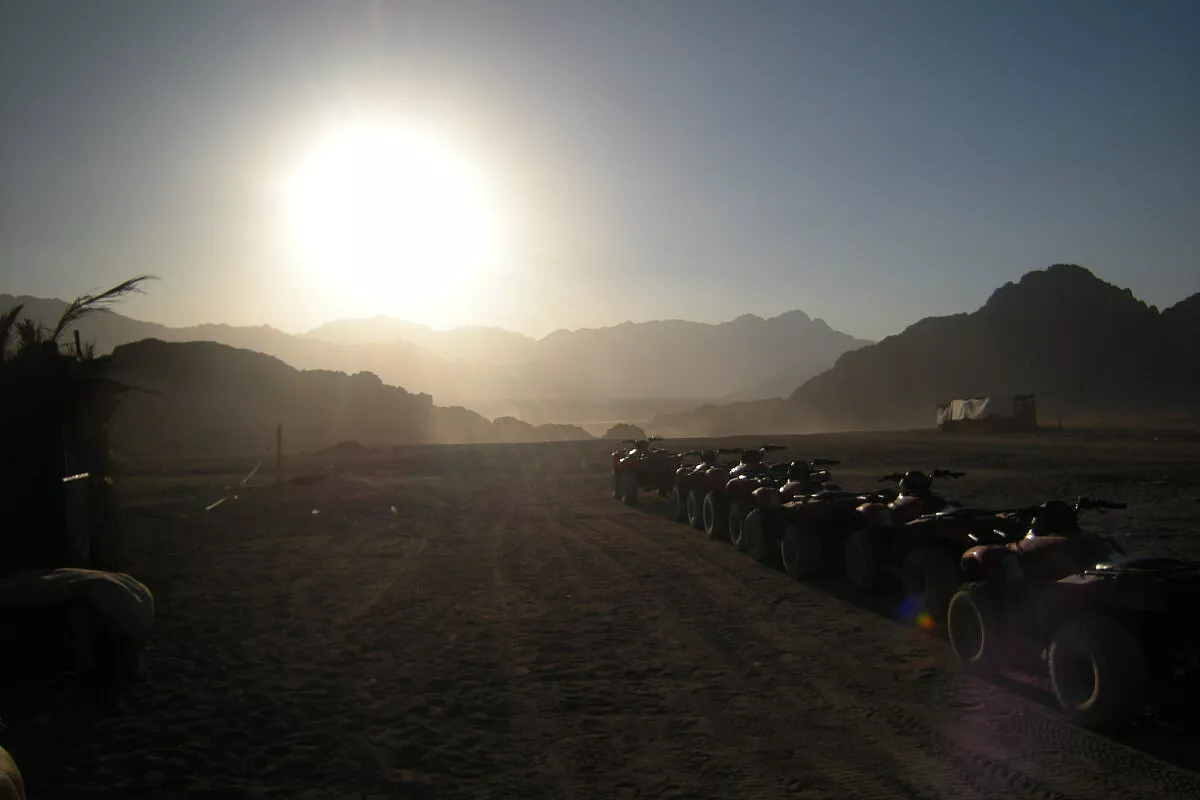 A MARSA ALAM tra tartarughe e DUGONGO