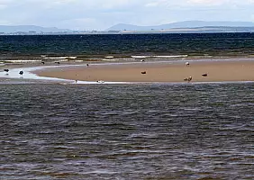 turistipercaso thurso-t98mq