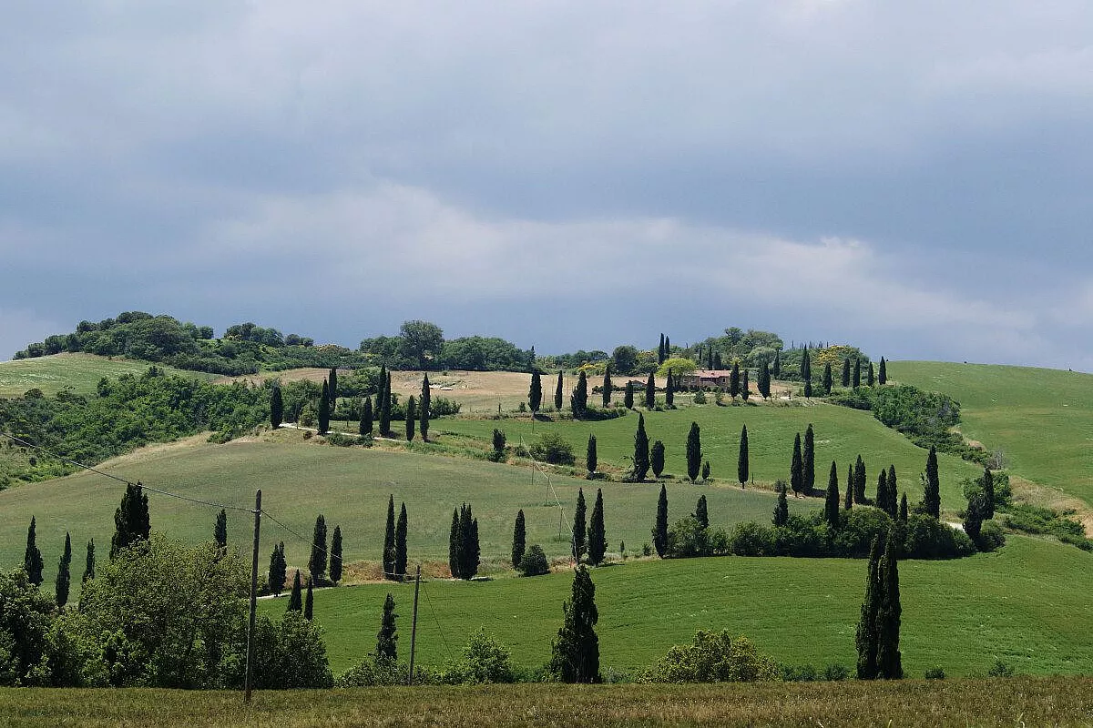 Lucciola Bella