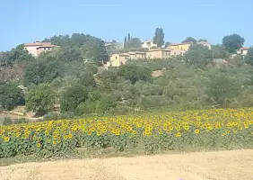 turistipercaso toscana-89x4p