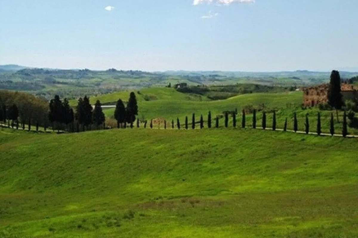Primavera nel Chianti