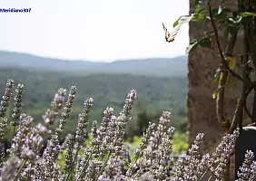 turistipercaso toscana-bkg89