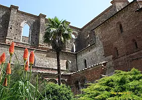 turistipercaso toscana-bx58s