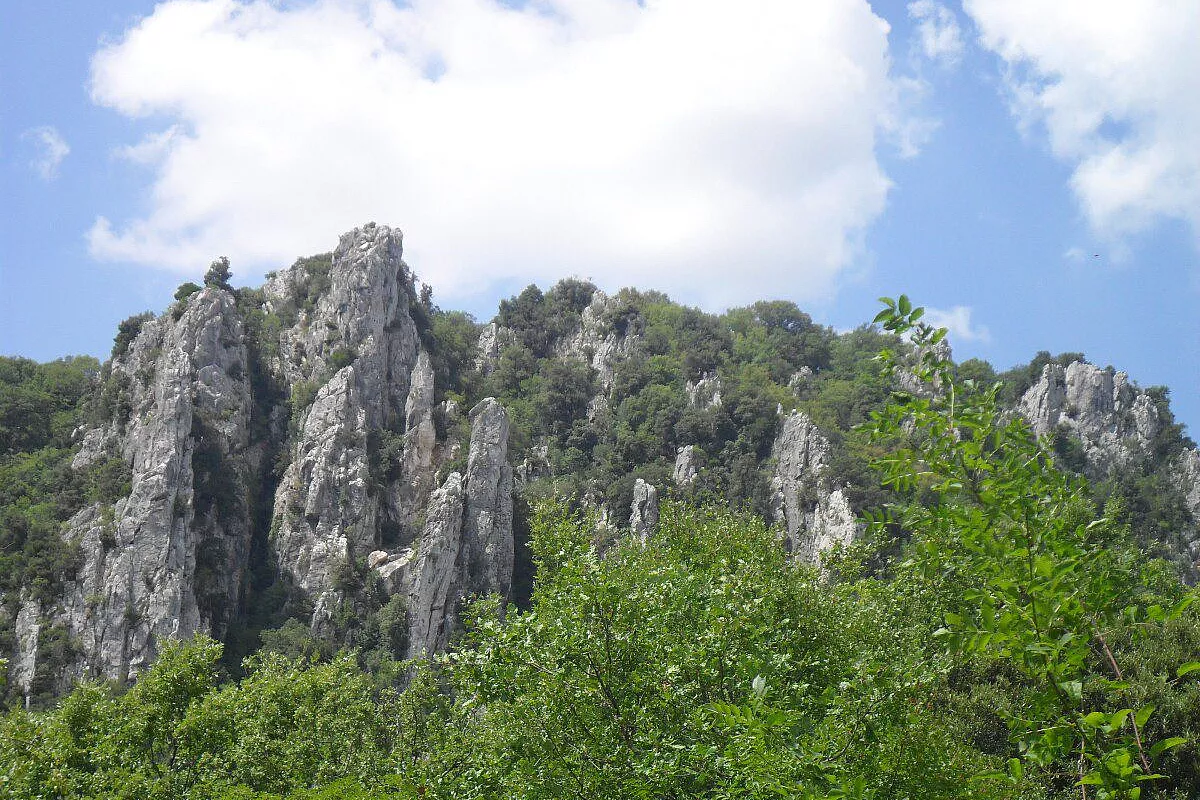 là dove osano le aquile....bosco rocconi