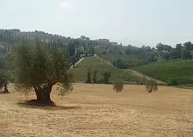 turistipercaso toscana-qcc41