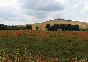 turistipercaso toscana-vghpq
