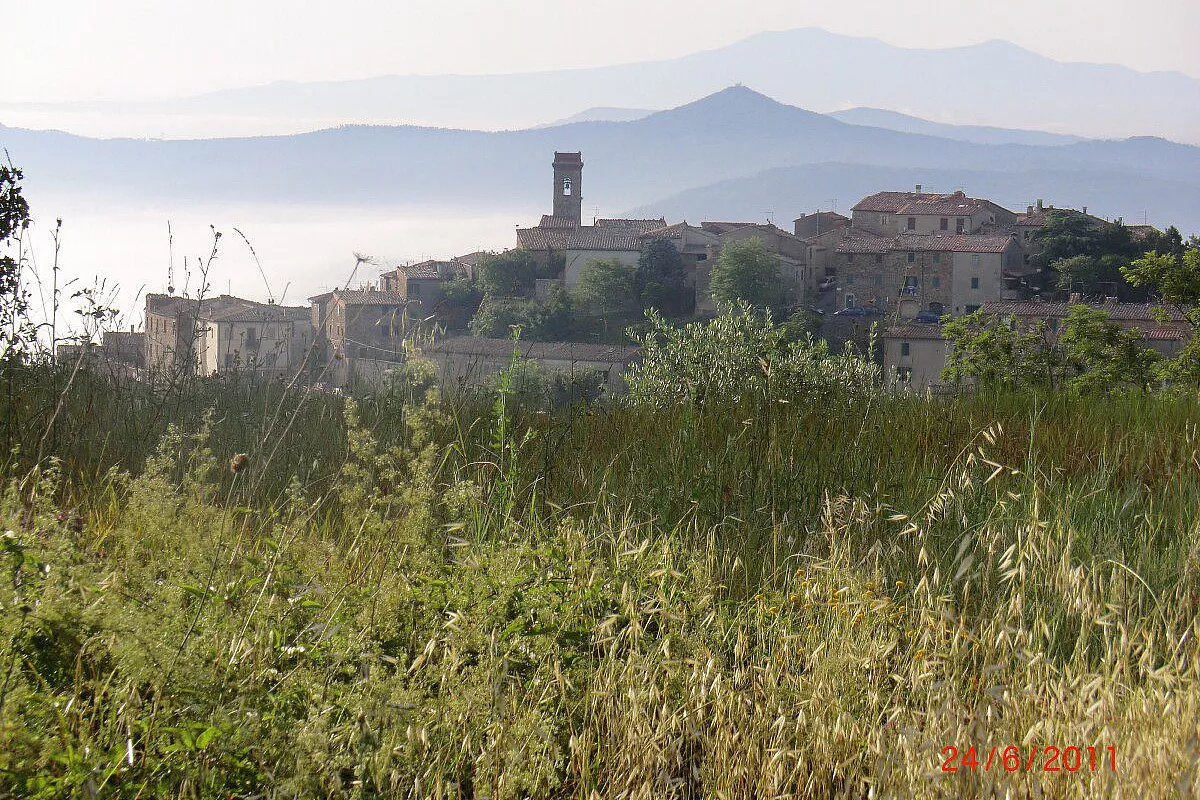 Chiusdino (SI)