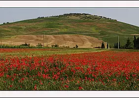 turistipercaso toscana-z3gsh