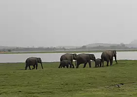 turistipercaso tour-dello-sri-lanka-kn2m5