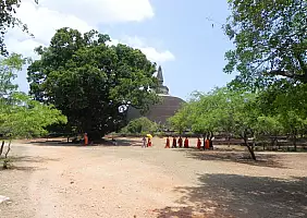 turistipercaso tour-dello-sri-lanka-r5dbv
