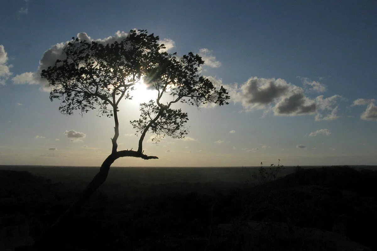 Natale in Kenya