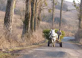 turistipercaso transilvania-dv1st