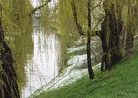 turistipercaso transilvania-ntbdy