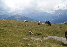 turistipercaso trentino-alto-adige-w786z