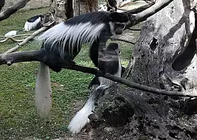 turistipercaso trentino-ksppq