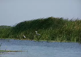 turistipercaso tulcea-8jrqz