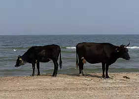 turistipercaso tulcea-n75s5
