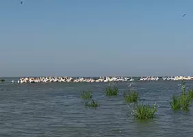 turistipercaso tulcea-s4mur