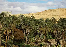turistipercaso tunisia-4xjuf