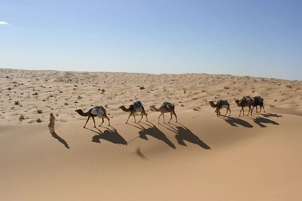 Tunisia in camper