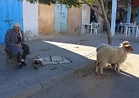 turistipercaso tunisia-akgfy