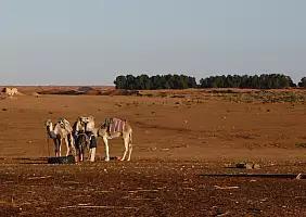 turistipercaso tunisia-cxkv5
