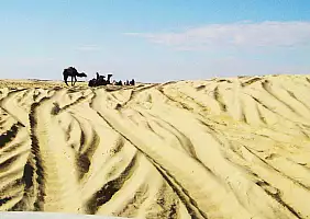 turistipercaso tunisia-pbutr